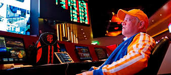 Официальный сайт Don Cash Casino